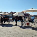 Horse Carriages idling in the heat