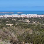 Essaouira from a distance