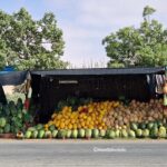 Fruits on sale by the highway