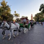 Horse carriages near Jemaa El Fnaa