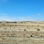 Saharan Landscapes