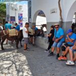 Donkey stand for climbing up to the fortress and acropolis at Lindos